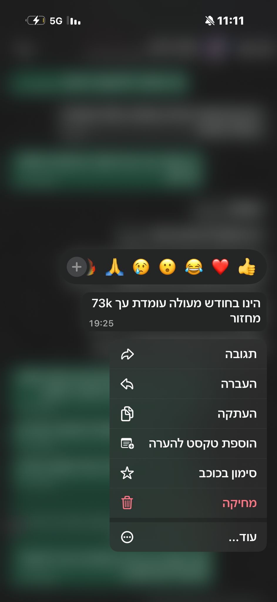 המלצה